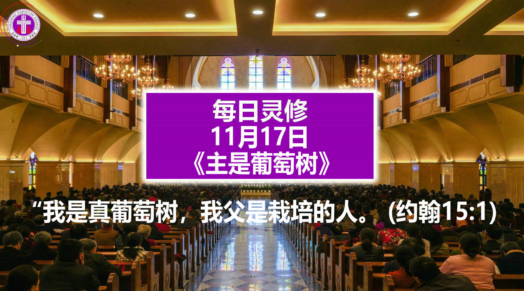 11.17《主是葡萄树》（约15：1)