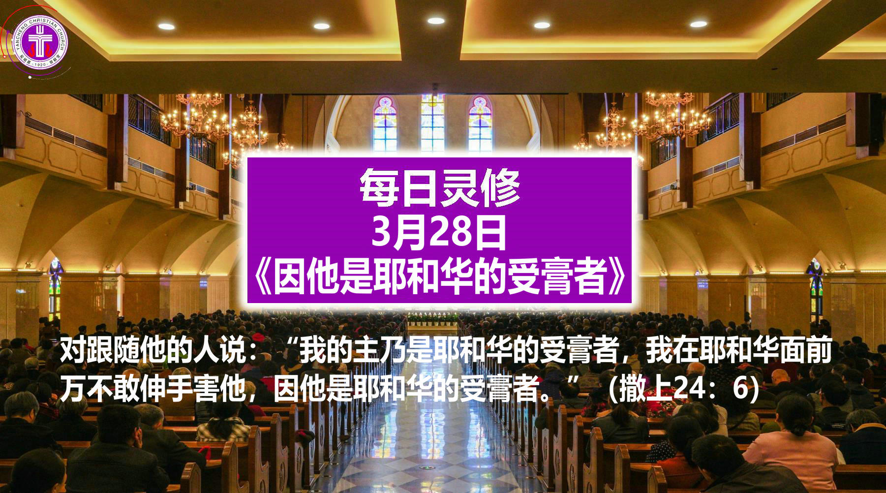 3.28《因他是耶和华的受膏者》（撒上24：6）